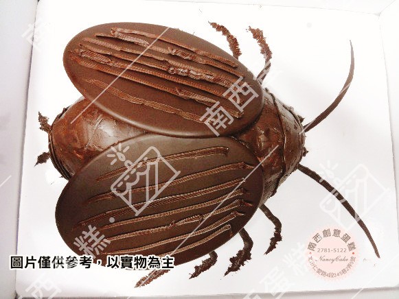 台北蟑螂造型蛋糕-南西蛋糕