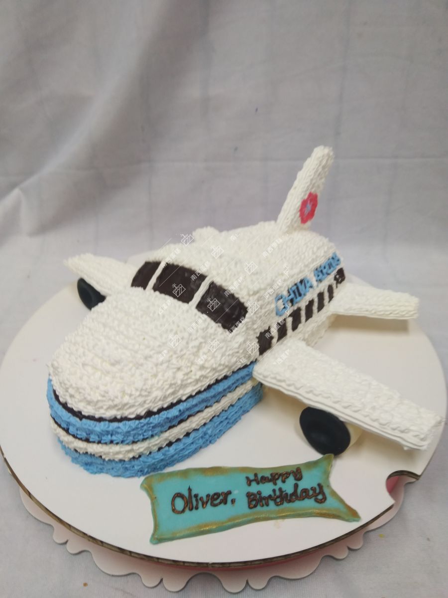 台北飛機造型蛋糕-南西蛋糕